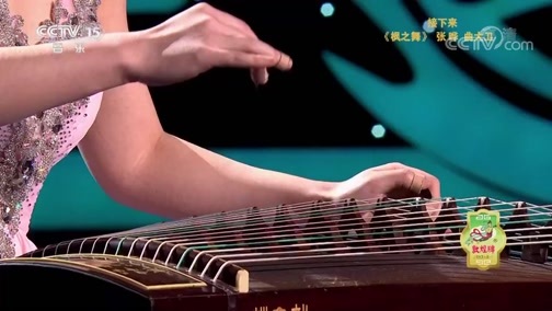 风华国乐 《风华国乐》 20190131