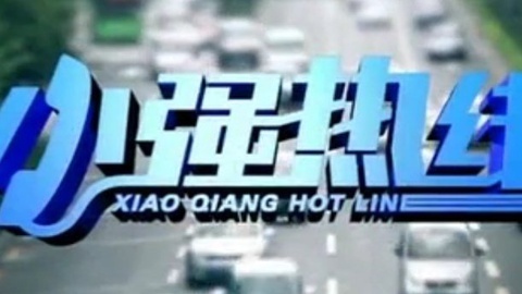 小强热线 小强热线20141231