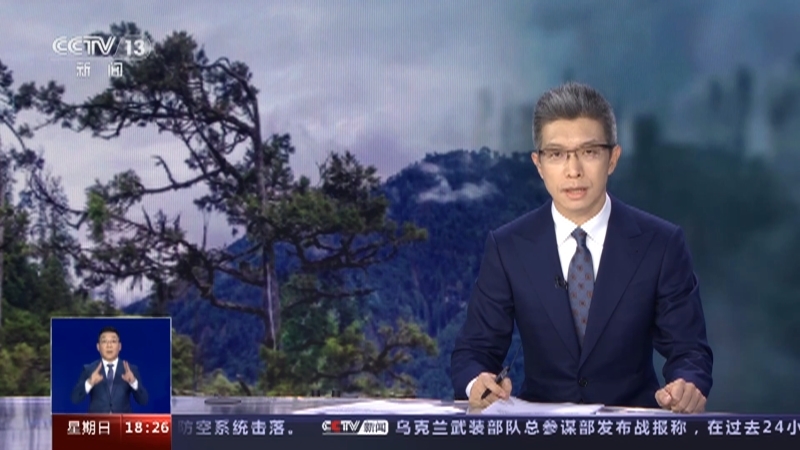 共同关注 《共同关注》 20230813
