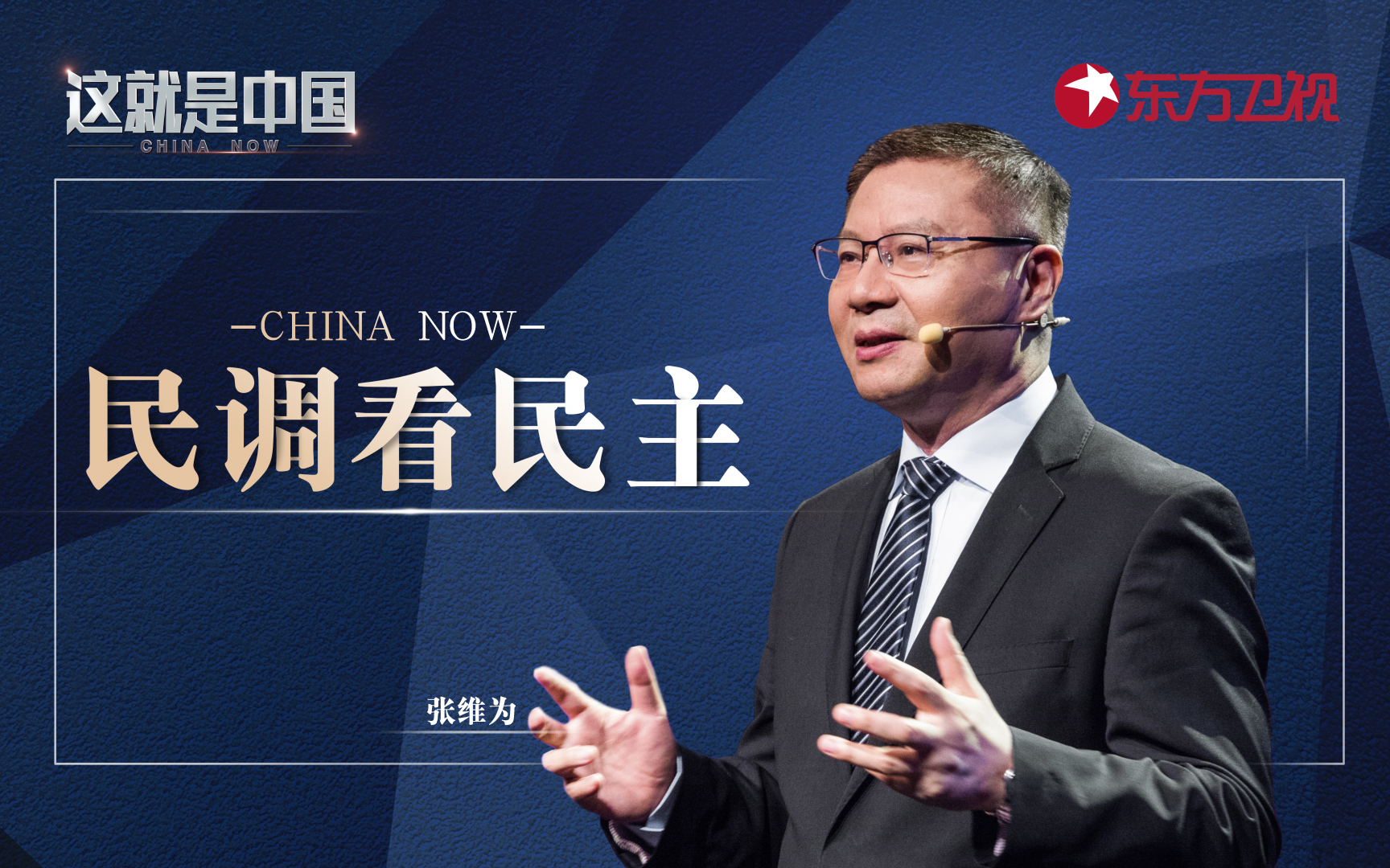 这就是中国 民调看民主
