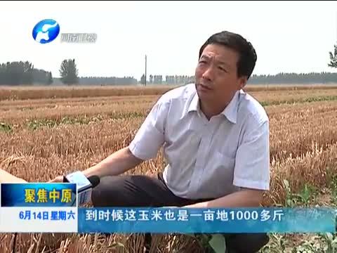 聚焦中原 《聚焦中原》 20140614 今年的馍，确实能吃上了
