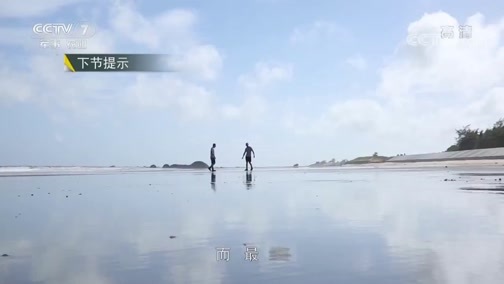 军事纪实 《军事纪实》 20190724 突击队员的青春荣耀