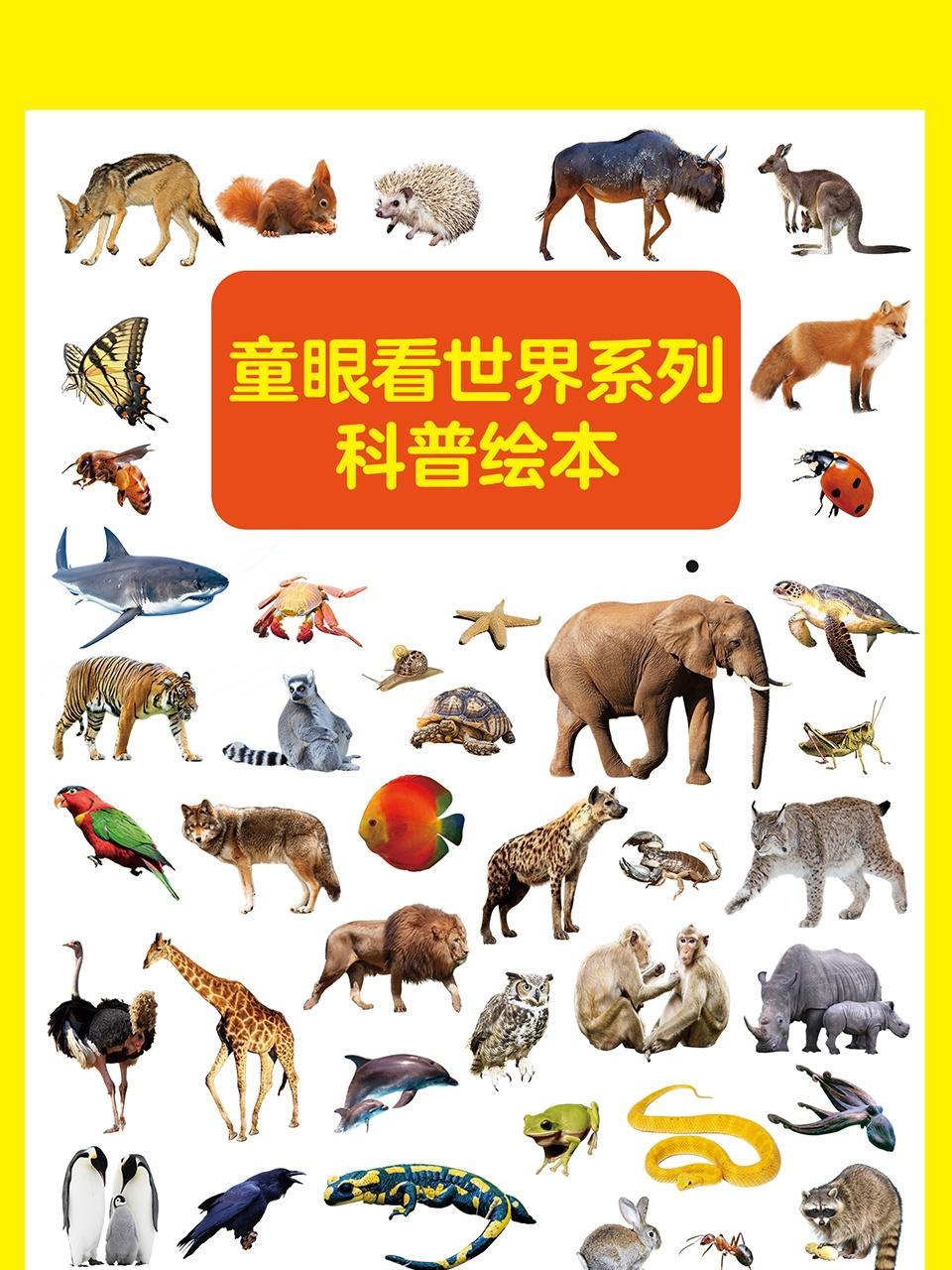 童眼看世界系列科普绘本