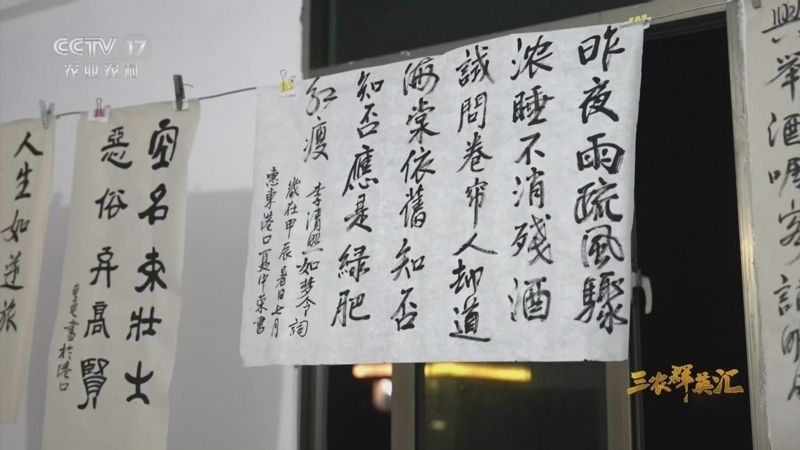 三农群英汇 《三农群英汇》 20260607 碧海守龟人