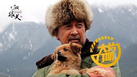 大片刀叨 中国版忠犬八公催泪上线