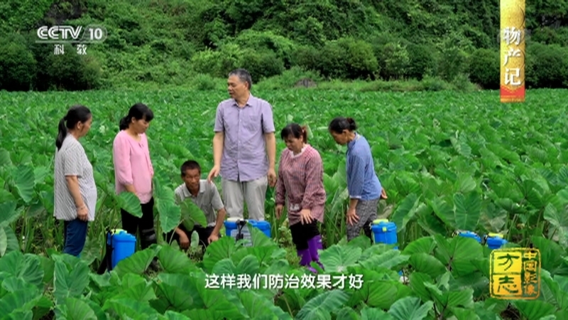 《中国影像方志》 第740集 广西平乐篇