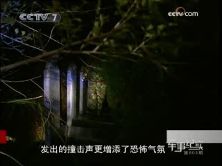 军事纪实 刘向阳和他的国际救援队