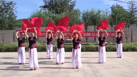 广场舞 广场舞《中国美》