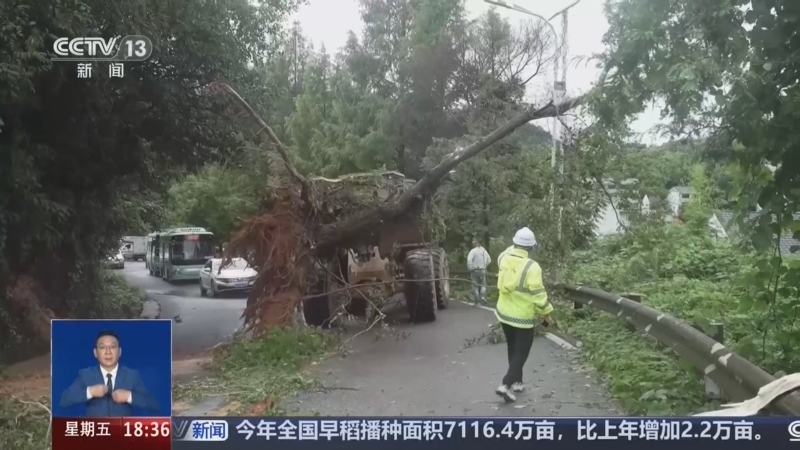 共同关注 《共同关注》 20260821