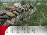动物世界 《动物世界》 20170619 千里眼与顺风耳 不可思议的感官