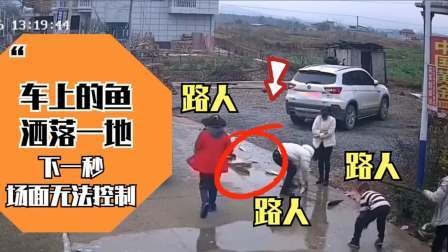 品人生百味第二季 正能量：一车鱼洒落满地，众人见状”哄抢“，结局令人暖心