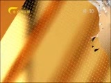 广西新闻 《广西新闻》 20170801