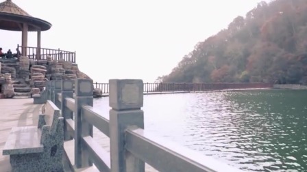 我的桃花源 探秘北京“侏罗纪森林”，小朋友的旅游圣地