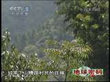 地球密码（周末精编节目） 周末精编节目 2010年 第52期