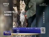 热线12 《热线12》 20180329
