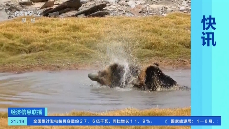 经济信息联播 《经济信息联播》 20230919
