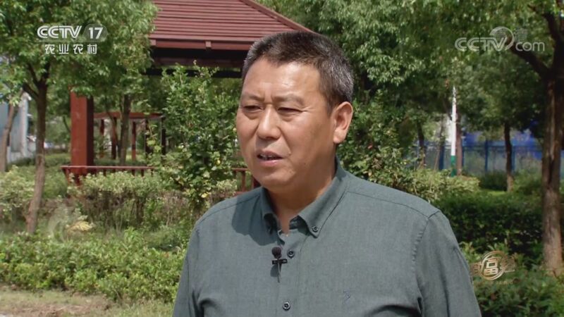 致富经 《致富经》 20201023 老藕农变身新农人