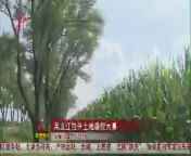 全省新闻联播 《全省新闻联播》 20140821