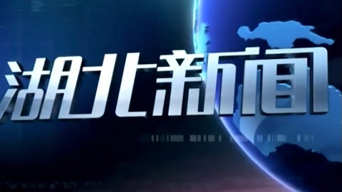 湖北新闻20210809