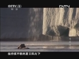 魅力纪录（CCTV-1综合频道） 《魅力纪录》 20120704 冰冻星球 第三集 夏季