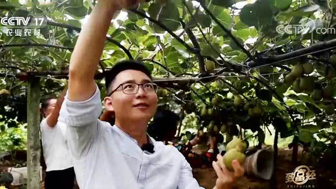 致富经 《致富经》 20200924 小伙儿返乡 果园追梦