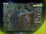 自然传奇 《自然传奇》 20171031 终极排行榜