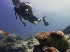 蓝色星球 第二季第7集：我们的蓝色海洋