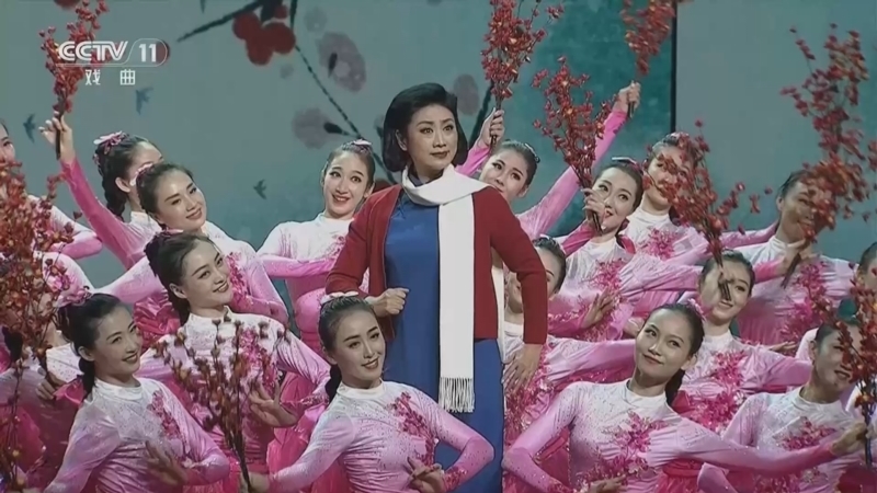 青春戏苑 《青春戏苑》 20260602 粉墨华章 2022年新年戏曲晚会精彩集锦