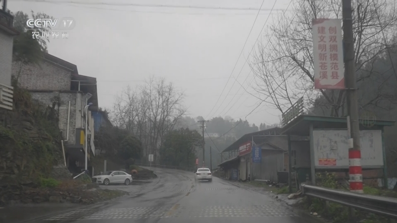 《乡理乡亲》 20251108 兄弟携手解母忧