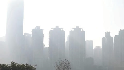 新闻手语20210312
