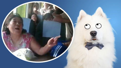 狗子吐槽大妈，好犀利！
