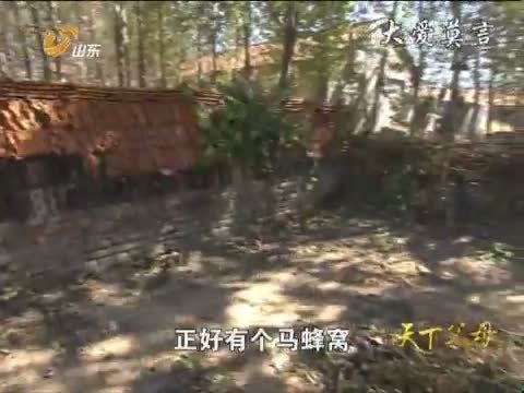 天下父母 《天下父母》 20121102 大爱莫言