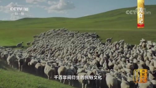 中国影像方志 《中国影像方志》 第345集 内蒙古阿拉善左旗篇