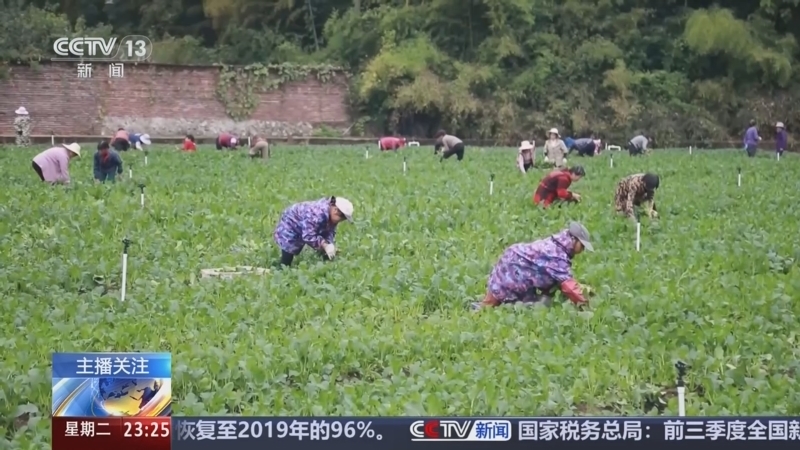 24小时 《24小时》 20241126