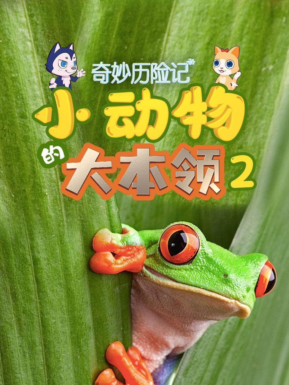 奇妙历险记：小动物的大本领2