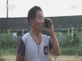 我爱发明 《我爱发明》 20161013 绿篱塑形师