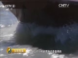 生财有道 《生财有道》 20160207 吃喝不花钱的农家乐