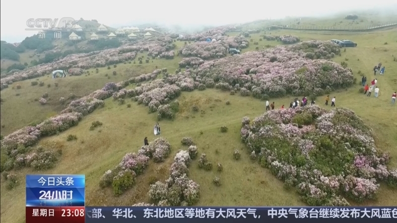 24小时 《24小时》 20260405