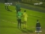 天下足球 《天下足球》 20140131 疯狂的足球（3）