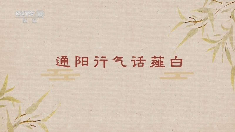 百家讲坛 《百家讲坛》 20251229 舌尖上的养生（第三部） 5 通阳行气话薤白