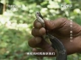 地理中国 《地理中国》闽域奇观·戴云仙山 20150113