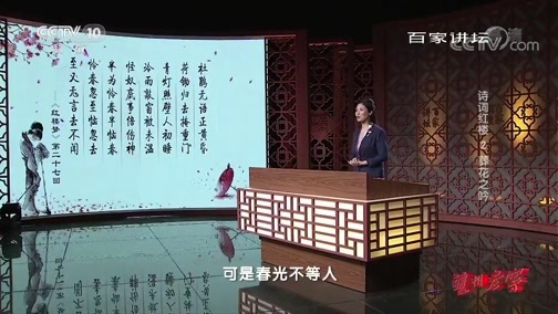 百家讲坛 《百家讲坛》 20190909 诗词红楼2 葬花之吟