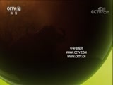 自然传奇 《自然传奇》 20171005 白狮历险记（上）