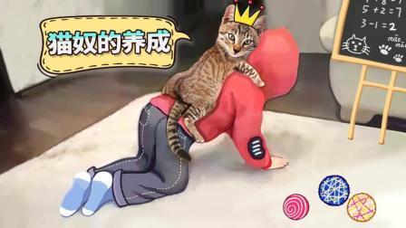 看完之后 你确定还想养宠物吗 74