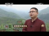 致富经 《致富经》 20150518 律师辞职偏养鸡