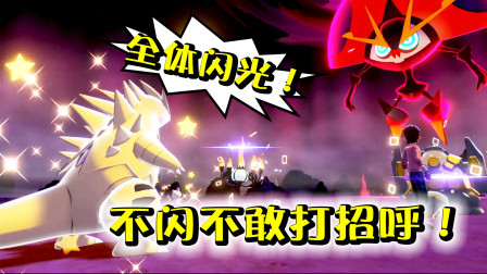 酷爱精灵宝可梦 第一季 不闪光都不敢跟人打招呼！四闪小队大战以欧路普！