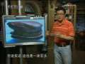 走近科学 肉石秘闻