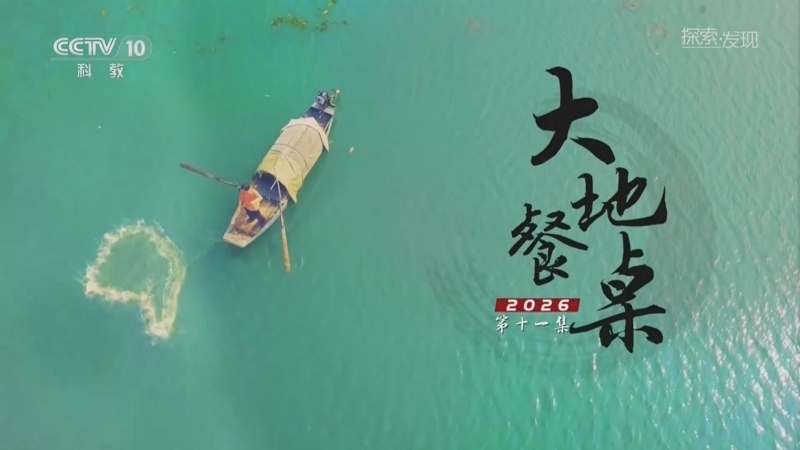 《探索·发现》 20260222 大地餐桌2026（11）
