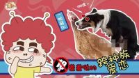 囧闻一箩筐 18禁 羞羞哒的跨种族爱恋 547