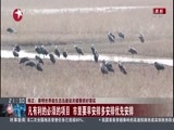 直播上海 《直播上海》 20170228